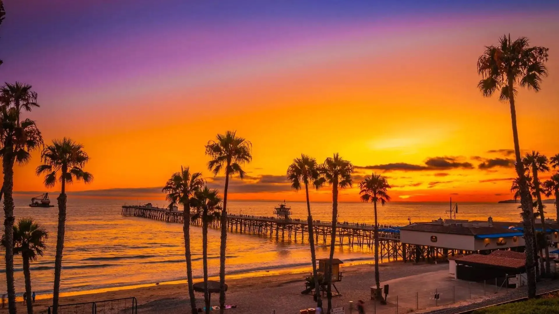 Lovely Venice Beach 1Bd Apartments Los Angeles
